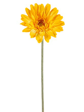Load image into Gallery viewer, Yellow