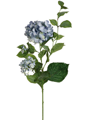 Two Tone Blue