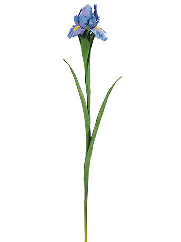 Lavender Blue