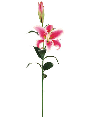 Rubrum Pink