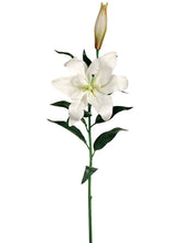 Load image into Gallery viewer, White