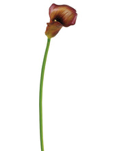 Load image into Gallery viewer, Burgundy