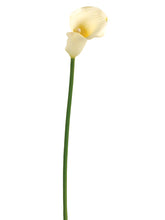 Load image into Gallery viewer, Cream