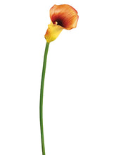 Load image into Gallery viewer, Orange
