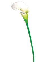 Load image into Gallery viewer, 30in