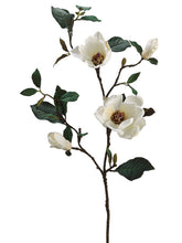 Load image into Gallery viewer, Cream White