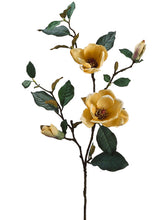 Load image into Gallery viewer, Yellow
