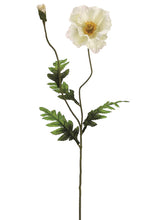 Load image into Gallery viewer, Cream
