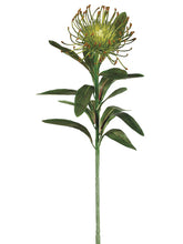Load image into Gallery viewer, Green