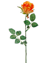 Load image into Gallery viewer, Orange Yellow