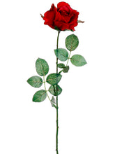 Load image into Gallery viewer, Red