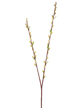 Load image into Gallery viewer, Green