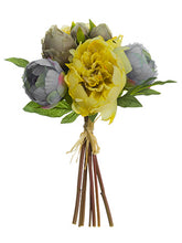 Load image into Gallery viewer, Blue Yellow