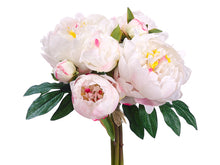 Load image into Gallery viewer, Cream Cerise