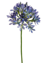 Load image into Gallery viewer, Blue Purple