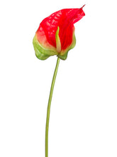 Load image into Gallery viewer, Red Green