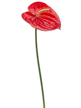 Load image into Gallery viewer, Red