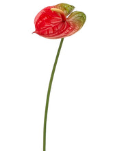 Load image into Gallery viewer, Red Green