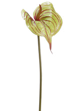 Load image into Gallery viewer, Green Burgundy