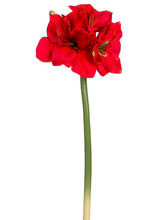 Load image into Gallery viewer, Red