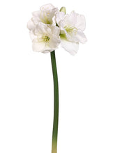 Load image into Gallery viewer, White