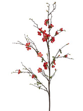 Load image into Gallery viewer, Coral