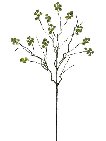 36