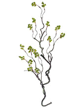 Load image into Gallery viewer, Green