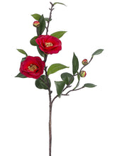 Load image into Gallery viewer, Red