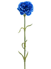 Load image into Gallery viewer, Blue