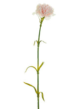 Load image into Gallery viewer, Blush