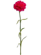 Load image into Gallery viewer, Beauty