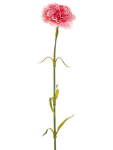 Load image into Gallery viewer, Coral