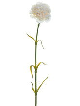 Load image into Gallery viewer, Cream