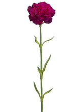 Load image into Gallery viewer, Fuchsia