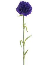 Load image into Gallery viewer, Plum