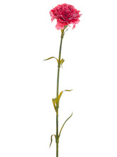 Load image into Gallery viewer, Berry