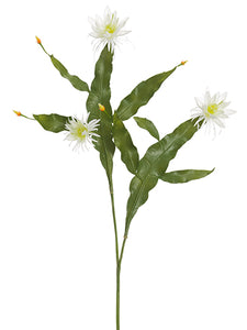 54" Epiphyllum Spray  White (pack of 8)