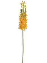 Load image into Gallery viewer, Yellow