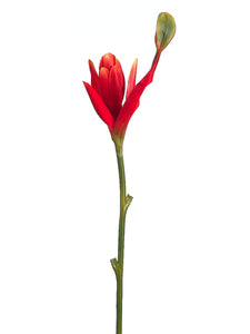 38" Banana Flower Spray  Orange Red (pack of 12)