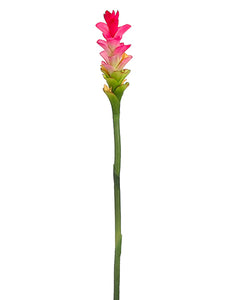 32" Ginger Flower Spray  Fuchsia (pack of 12)