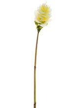 Load image into Gallery viewer, Cream Yellow