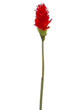 Load image into Gallery viewer, Flame