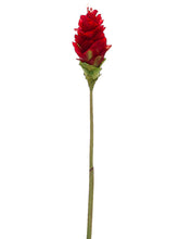 Load image into Gallery viewer, Red
