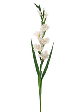 Load image into Gallery viewer, Cream