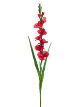 Load image into Gallery viewer, Red