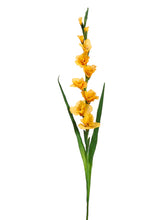 Load image into Gallery viewer, Yellow Orange
