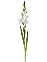 Load image into Gallery viewer, White