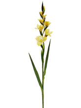 Load image into Gallery viewer, Yellow