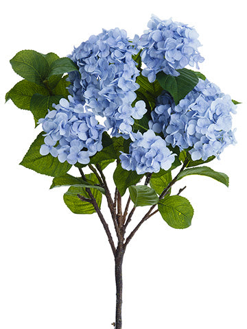 Blue Gray